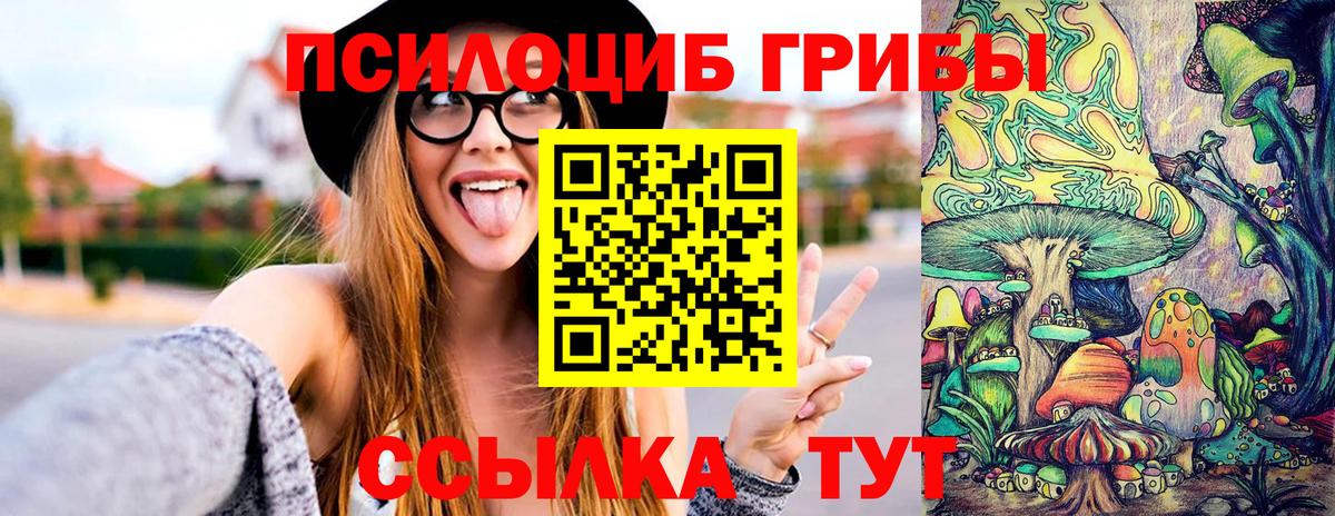 Псилоцибиновые грибы мицелий Волжск